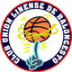 利内阿联篮球logo