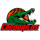 科科德里洛斯logo