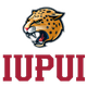 印第安纳普渡大学女篮logo