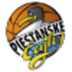 皮尔斯坦卡女篮logo