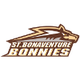 圣波那维琼女篮logo