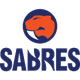 桑德林女篮logo