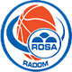 拉多姆logo