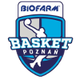 波兹南logo