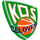 塞洛维茨女篮logo