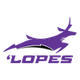 大峡谷女篮logo