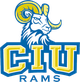 哥伦比亚国际大学logo