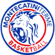 蒙泰卡蒂尼泰尔梅logo