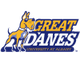 纽州大阿尔巴尼分校logo