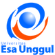 欧洲航天大学女篮logo