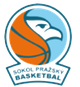 SP篮球logo