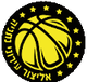 艾里祖尔尼坦耶logo