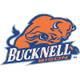 巴克内尔大学女篮logo