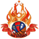 弗尔巴斯女篮logo