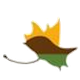 圣卡洛斯门多萨logo
