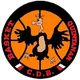 CDE金塔纳logo