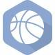 盖迪亚瓦耶篮球学院女篮logo
