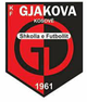 贾科维察logo