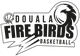 杜阿拉火鸟logo