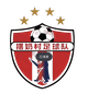 摆奶村足球队logo