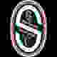 萨罗SC女足logo