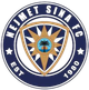奈梅特西奈logo