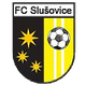 FC流冰logo