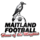 梅特兰FC后备队logo