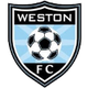 韦斯顿logo