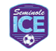 塞米诺尔女足logo