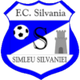 西尔维尼亚海豹体育会logo