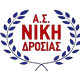 尼基德罗西亚logo