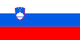 斯洛文尼亚室内足球队logo