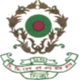 BG普雷斯logo
