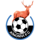 艾农维logo
