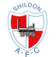 希尔登logo