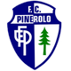 皮内罗洛logo
