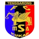 MSA足球俱乐部logo