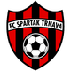 泰拿华斯巴达女足logo