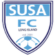 苏沙女足logo