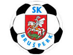 SK布鲁塞克logo
