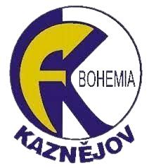 卡兹涅约夫logo