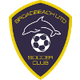 布罗德海滩联合女足logo