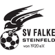 施泰因费尔德logo