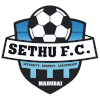 塞图乌斯女足logo