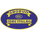 格鲁德B队logo