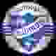 利丁厄女足logo