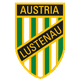 奥地利卢斯特瑙B队logo