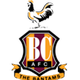 巴拉福特女足logo