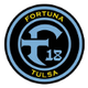 FC图尔萨女足logo